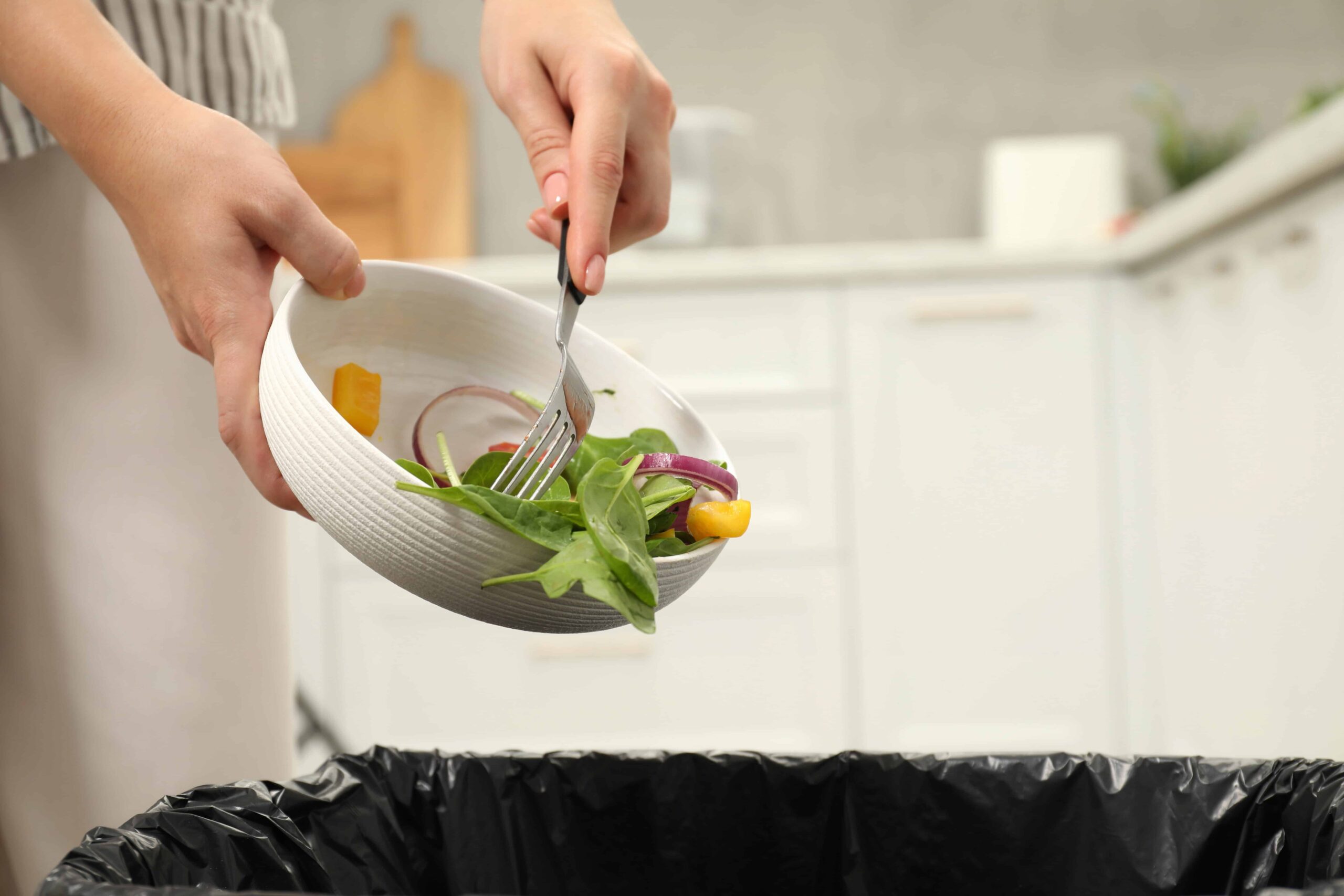 Garbage Disposal Problems In Rhode Island Kitchens