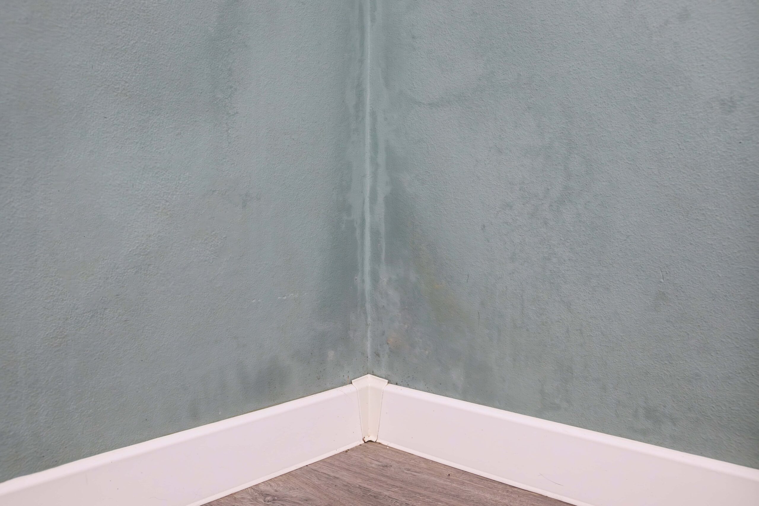 How Leak Detection Helps Coventry Homeowners Find Hidden Plumbing Problems Early