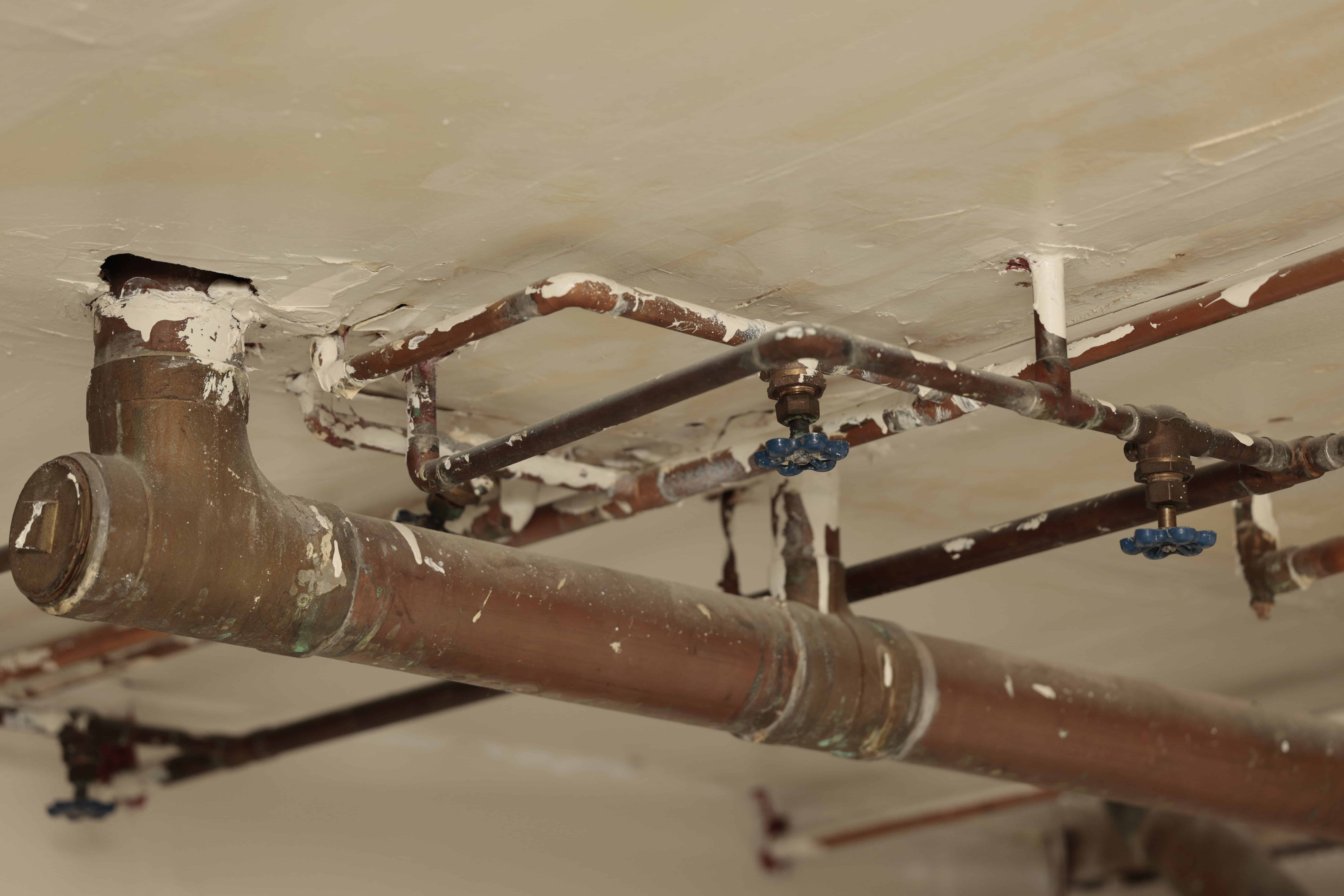 How Leak Detection Helps Coventry Homeowners Find Hidden Plumbing Problems Early
