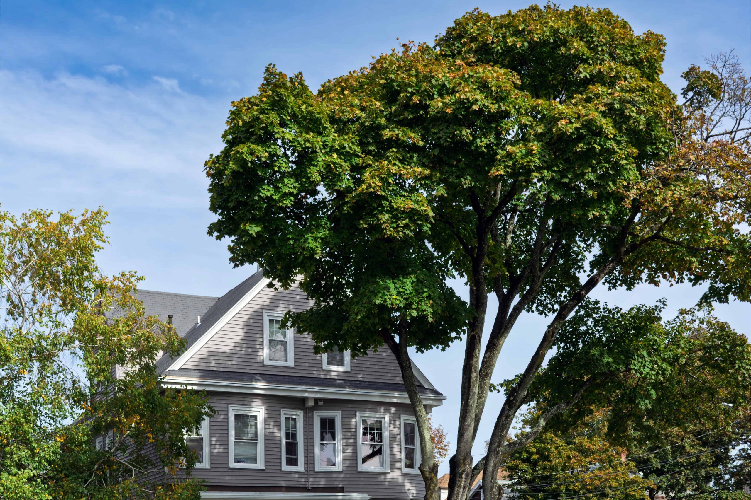 Sewer Line Repair Options